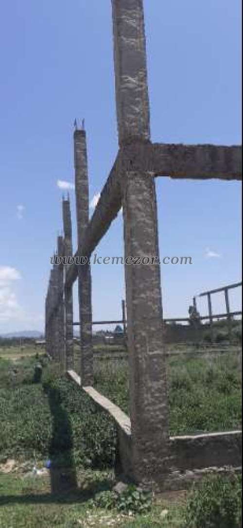 G+0 Adama, Adama Picture 4